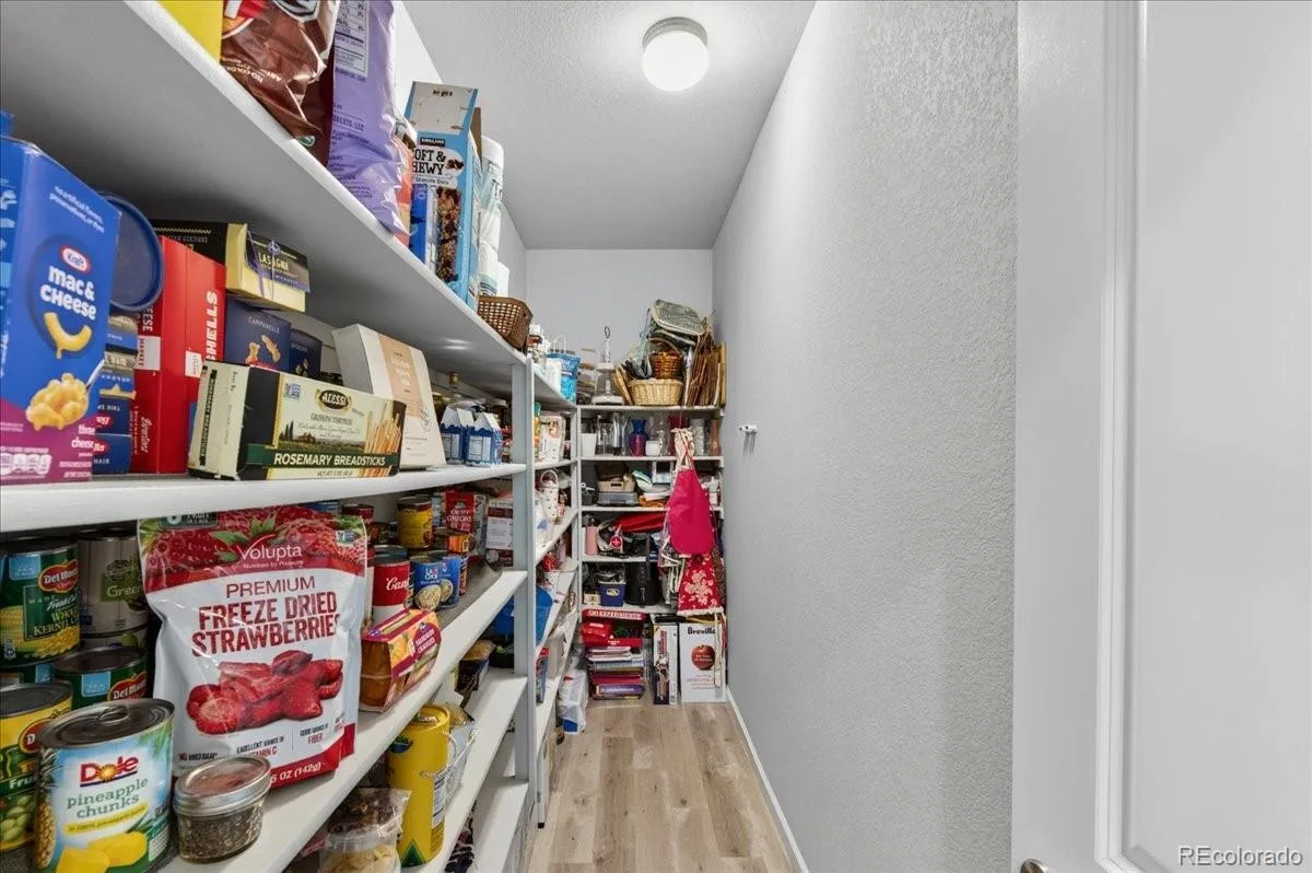 23914 E Rocky Top Place Aurora CO 80016 MLS #REC9611068 06092026151730 1200 16
