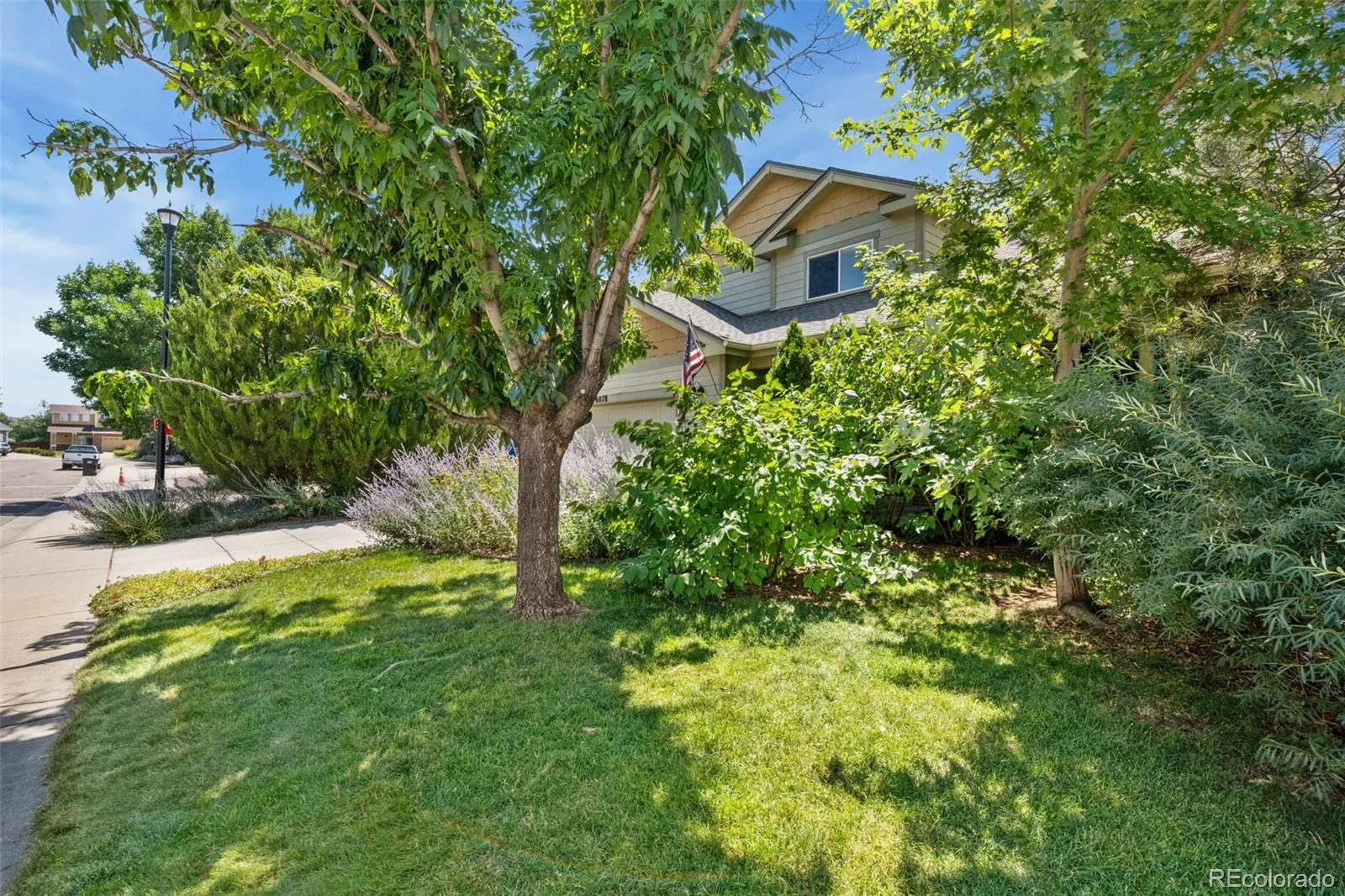 6078 Ulysses Avenue Firestone CO 80504 | MLS #REC9611488 08182026195923 1600 1