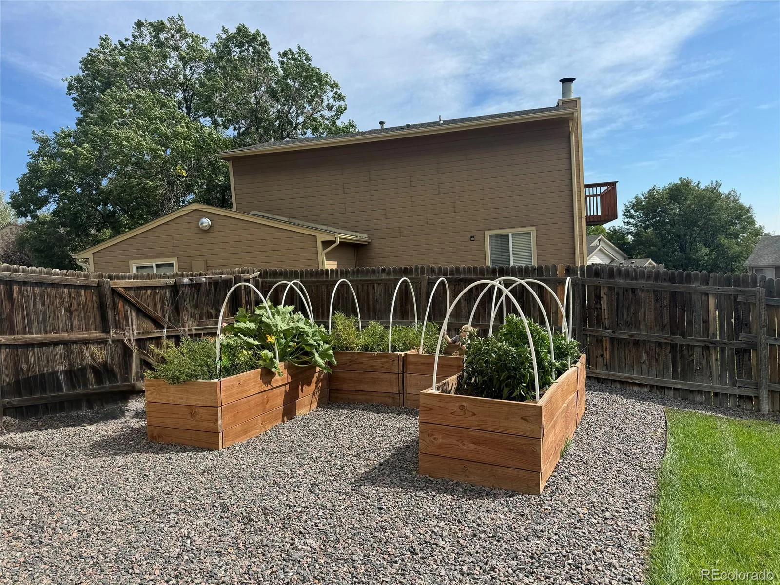 5028 E 127th Way Thornton CO 80241 | MLS #REC9611600 08192026192803 1600 8