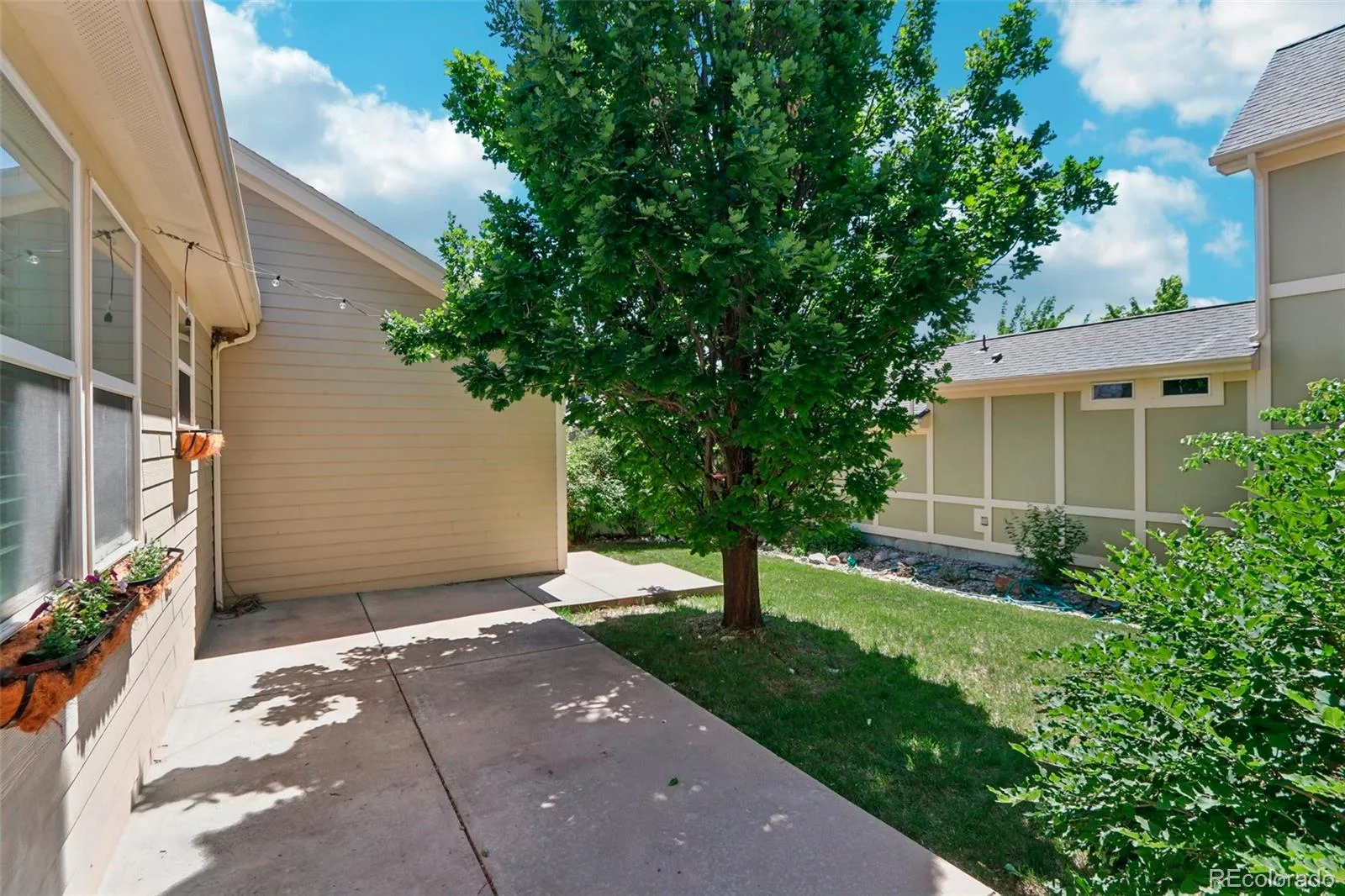 8648 Coors Street Arvada CO 80005 MLS #REC9620252 06182026234511 1600 32
