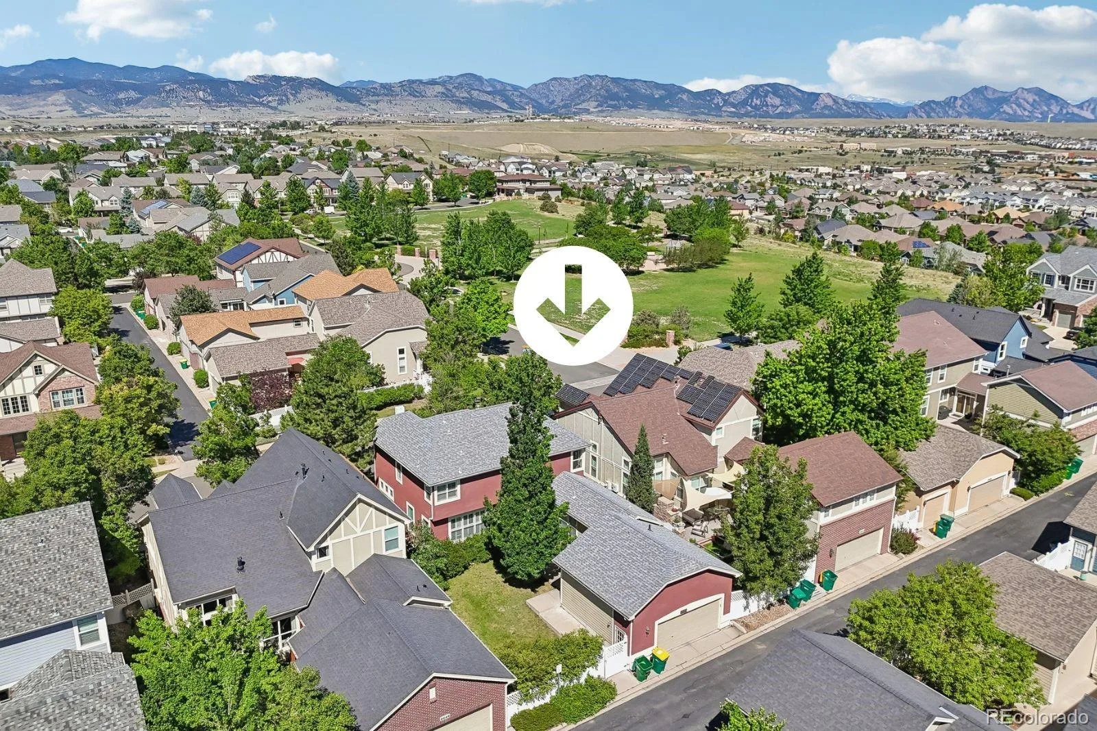 8648 Coors Street Arvada CO 80005 MLS #REC9620252 06182026234511 1600 40
