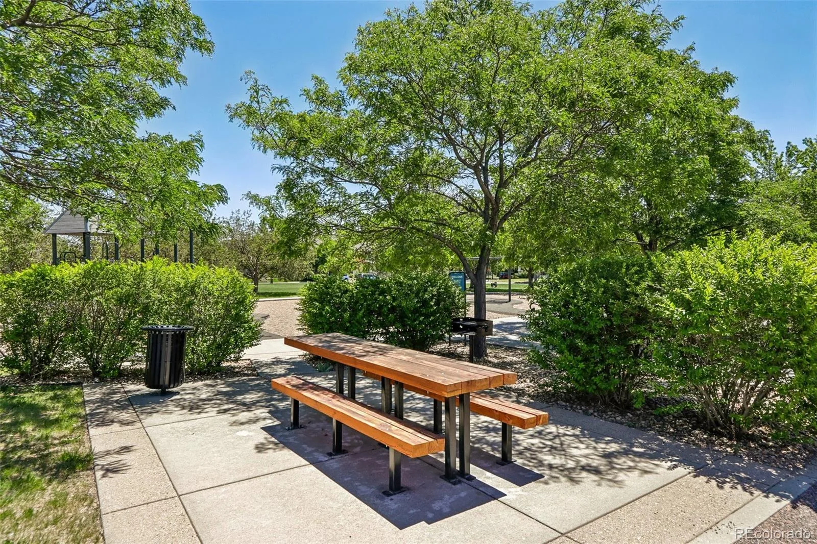 8648 Coors Street Arvada CO 80005 MLS #REC9620252 06182026234511 1600 43
