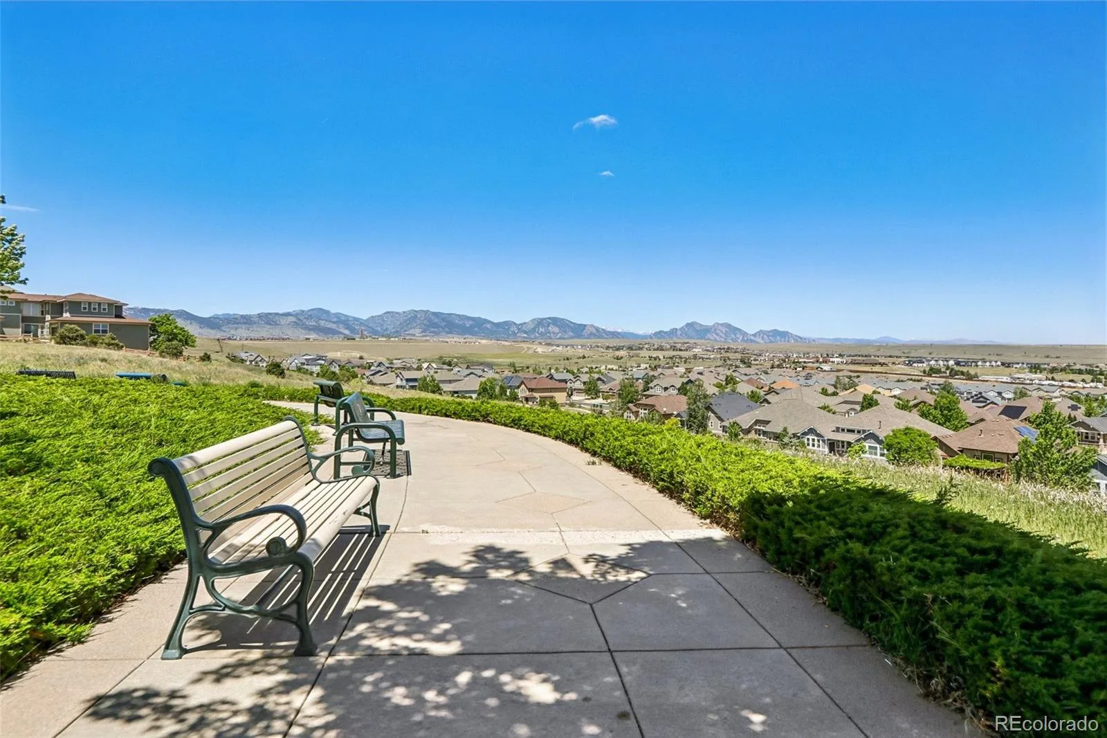 8648 Coors Street Arvada CO 80005 MLS #REC9620252 06182026234511 1600 46