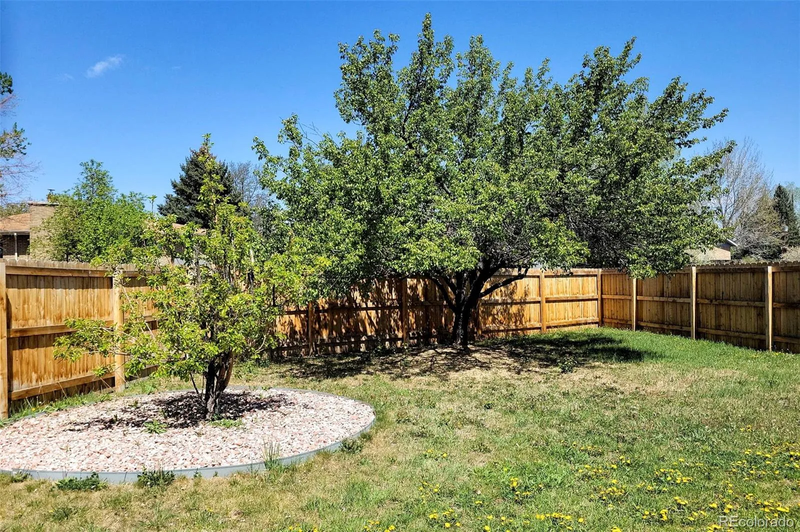 1089 S Johnson Way Lakewood CO 80226 MLS #REC9621723 05132026224741 1600 13