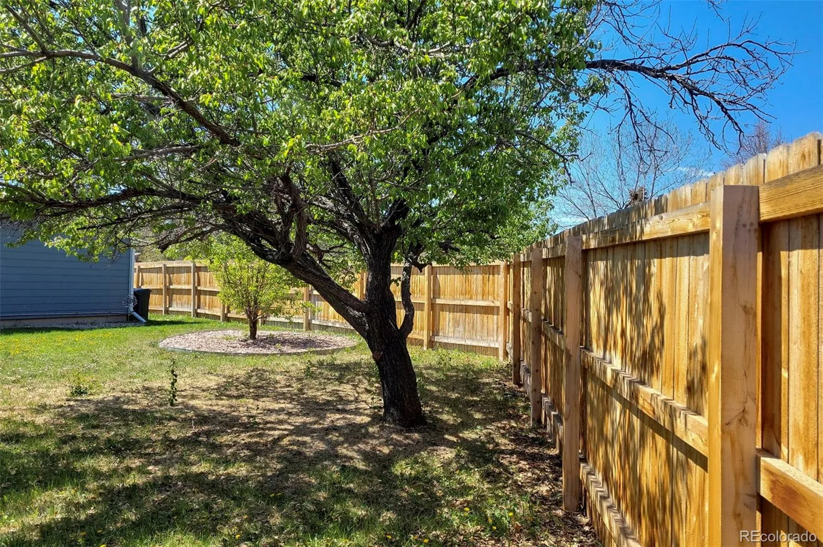 1089 S Johnson Way Lakewood CO 80226 MLS #REC9621723 05132026224741 1600 14