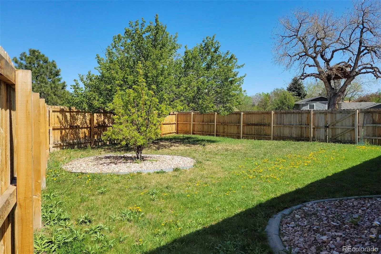 1089 S Johnson Way Lakewood CO 80226 MLS #REC9621723 05132026224741 1600 15