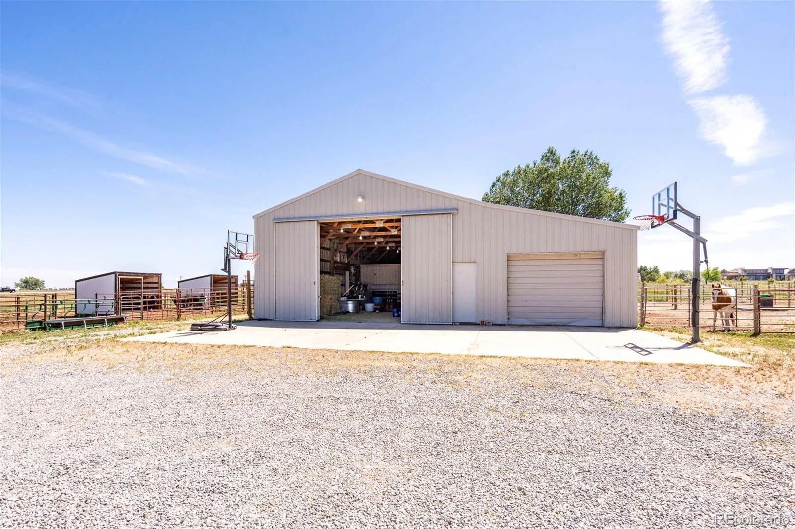 5946 County Road 3 Erie CO 80516 | MLS #REC9622115 08122026145532 1600 3