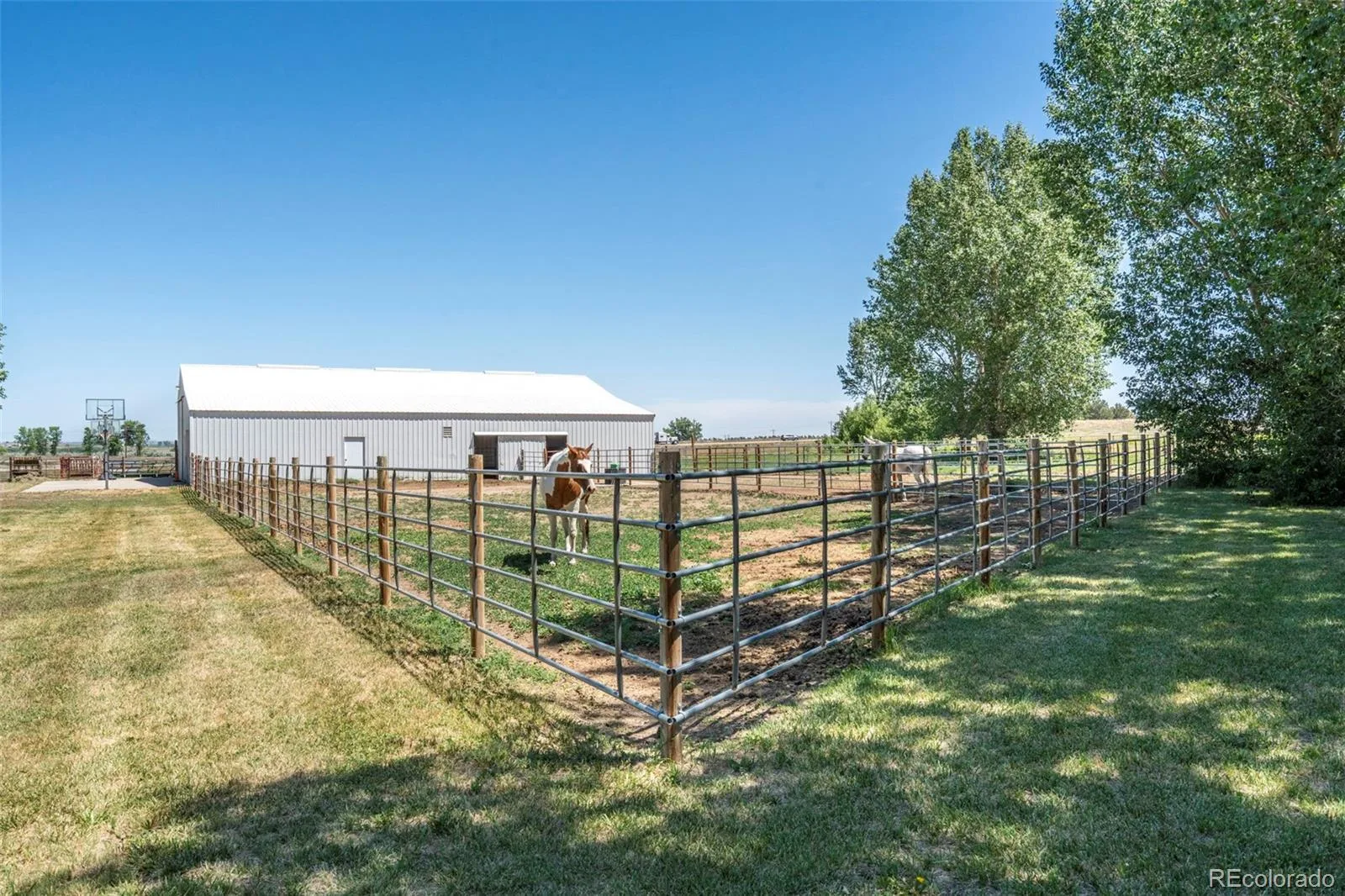 5946 County Road 3 Erie CO 80516 | MLS #REC9622115 08122026145532 1600 4