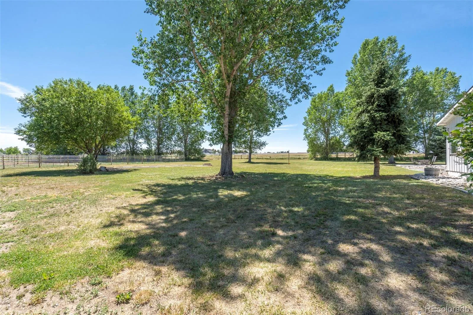 5946 County Road 3 Erie CO 80516 | MLS #REC9622115 08122026145532 1600 44