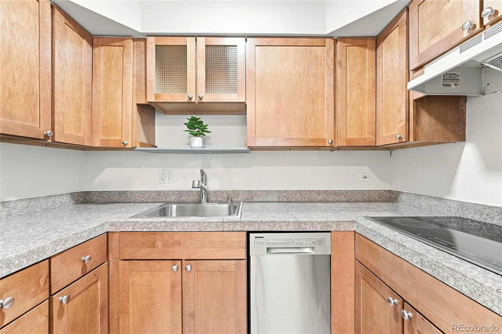 1056 N Marion Street #203 Denver CO 80218 | MLS #REC9623643 08072026161723 1600 11