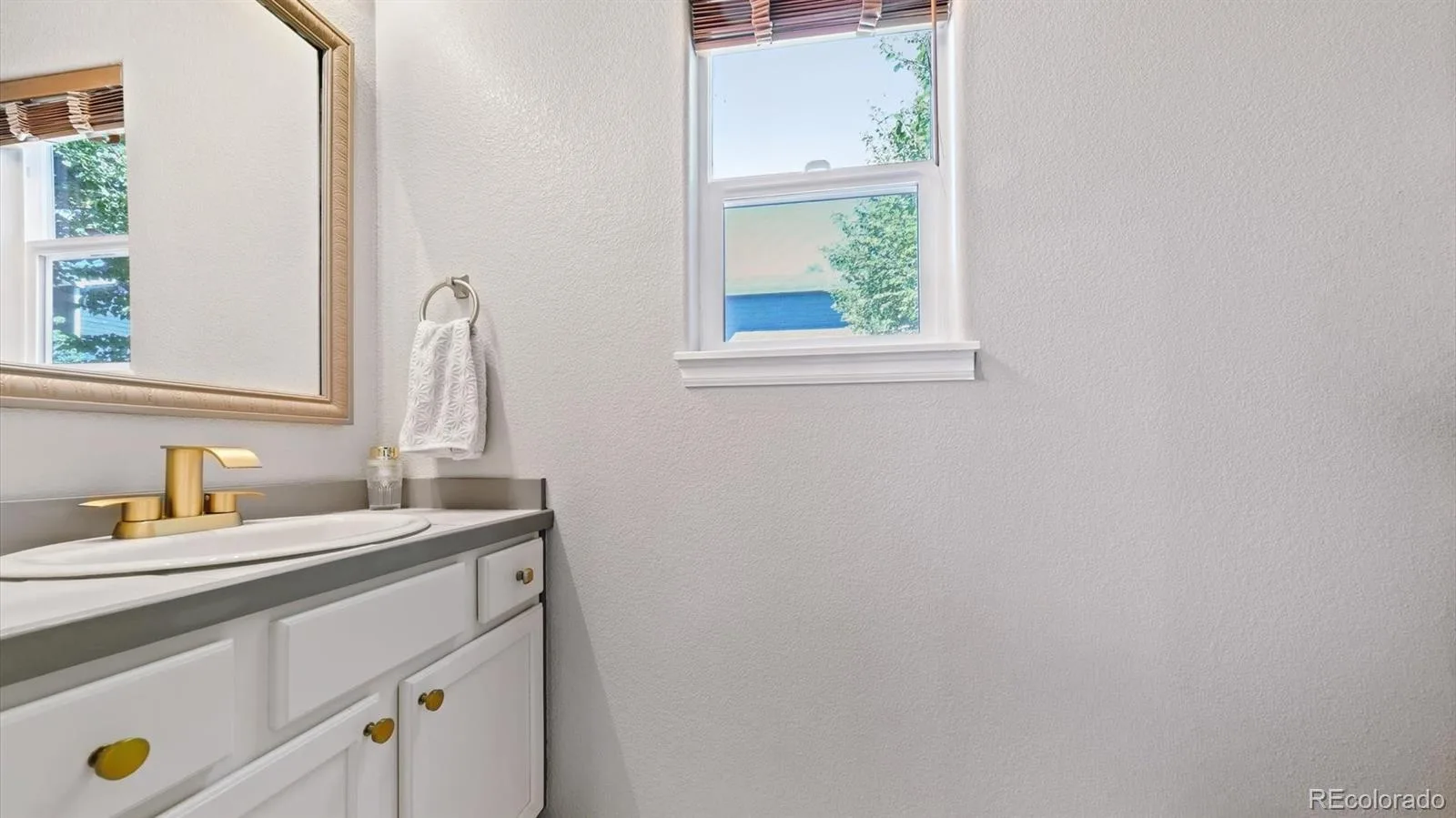 873 Fairhaven Street Castle Rock CO 80104 | MLS #REC9626946 07152026024316 1600 37