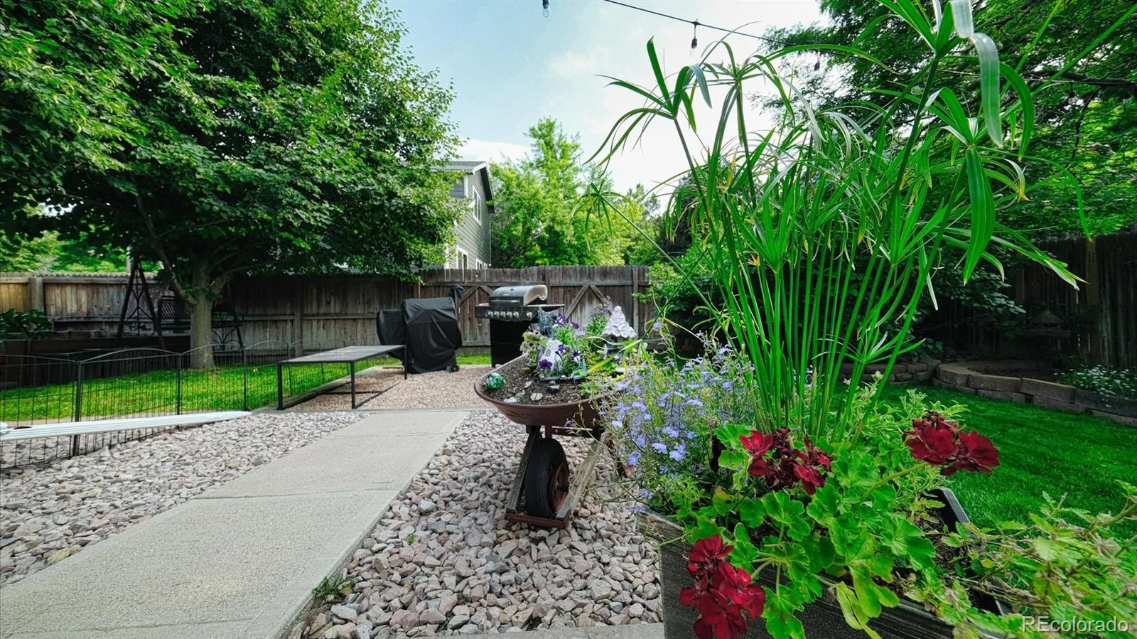 873 Fairhaven Street Castle Rock CO 80104 | MLS #REC9626946 07152026024316 1600 40