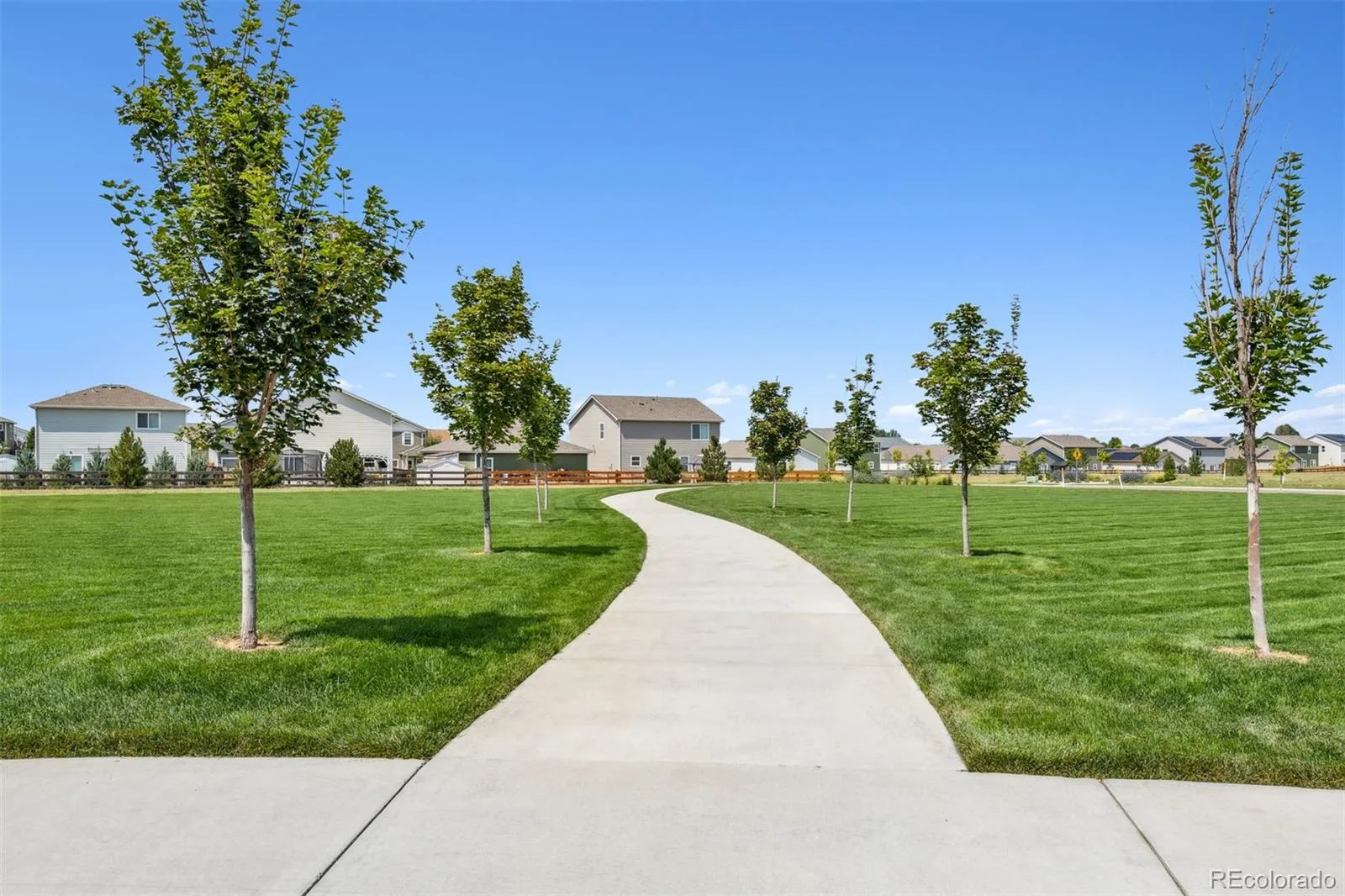 7465 Slate Place Frederick CO 80530 | MLS #REC9630154 08252026174618 1600 4