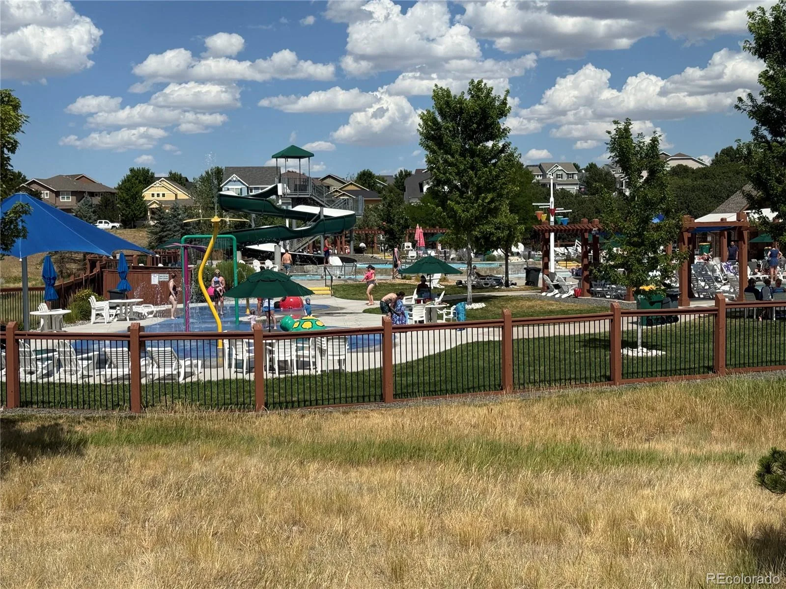1904 Coach House Loop Castle Rock CO 80109 | MLS #REC9644485 07252026024959 1600 42