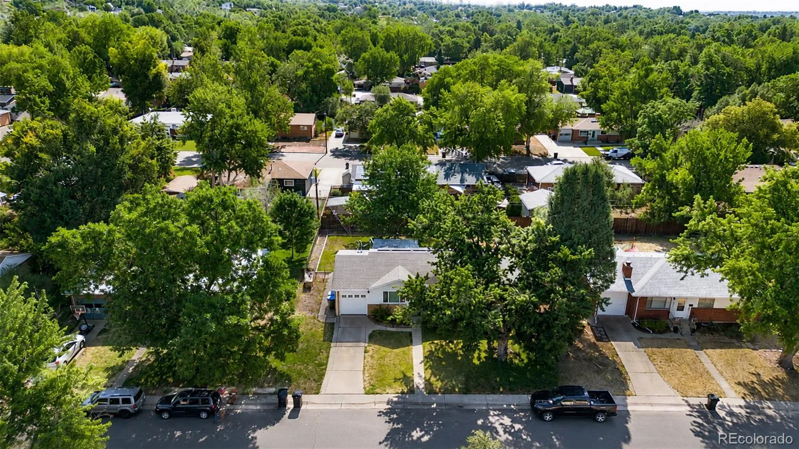 6696 Newcombe Street Arvada CO 80004 | MLS #REC9645232 07202026204952 1600 31