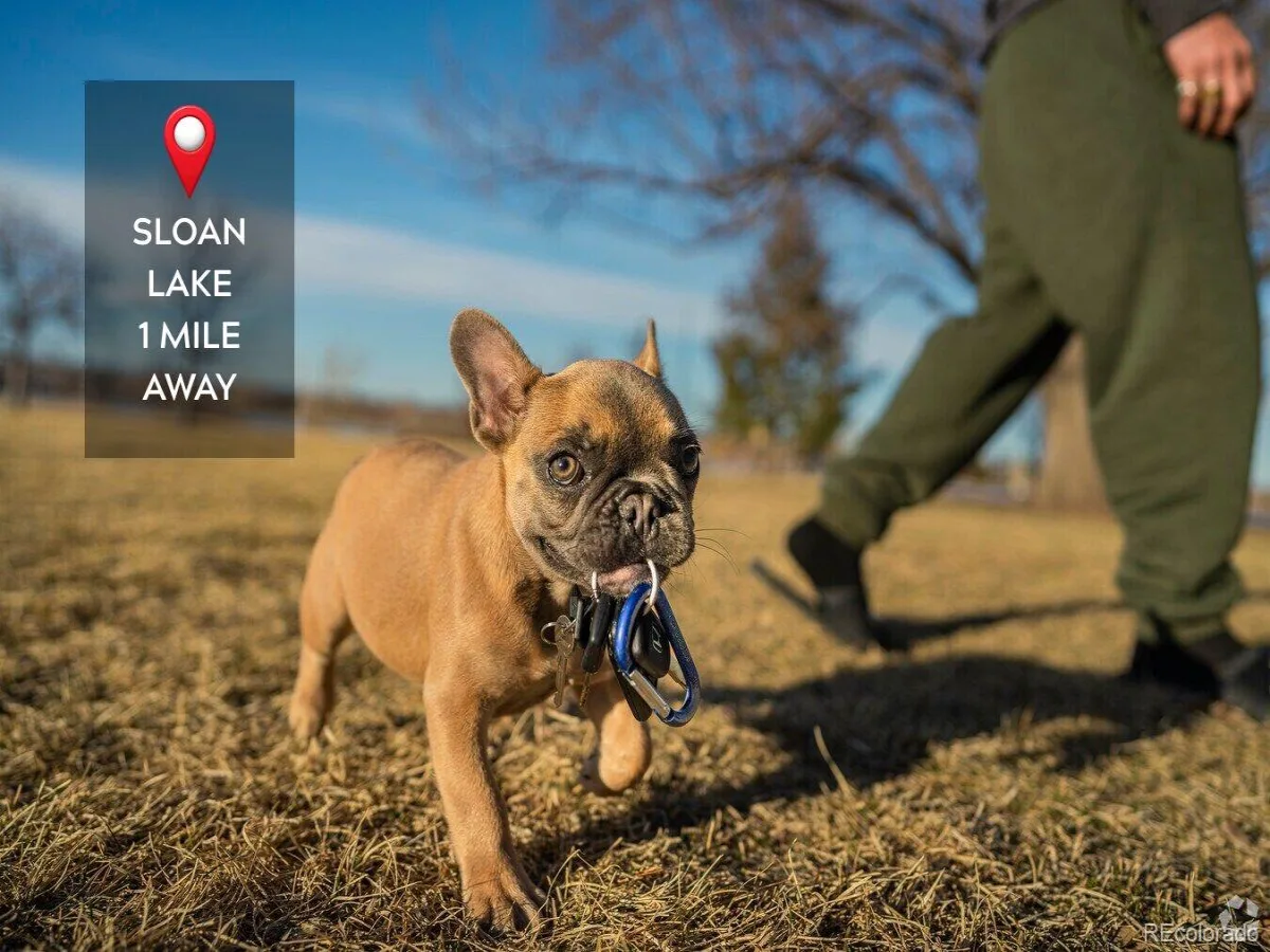 06012026015453 1200 36