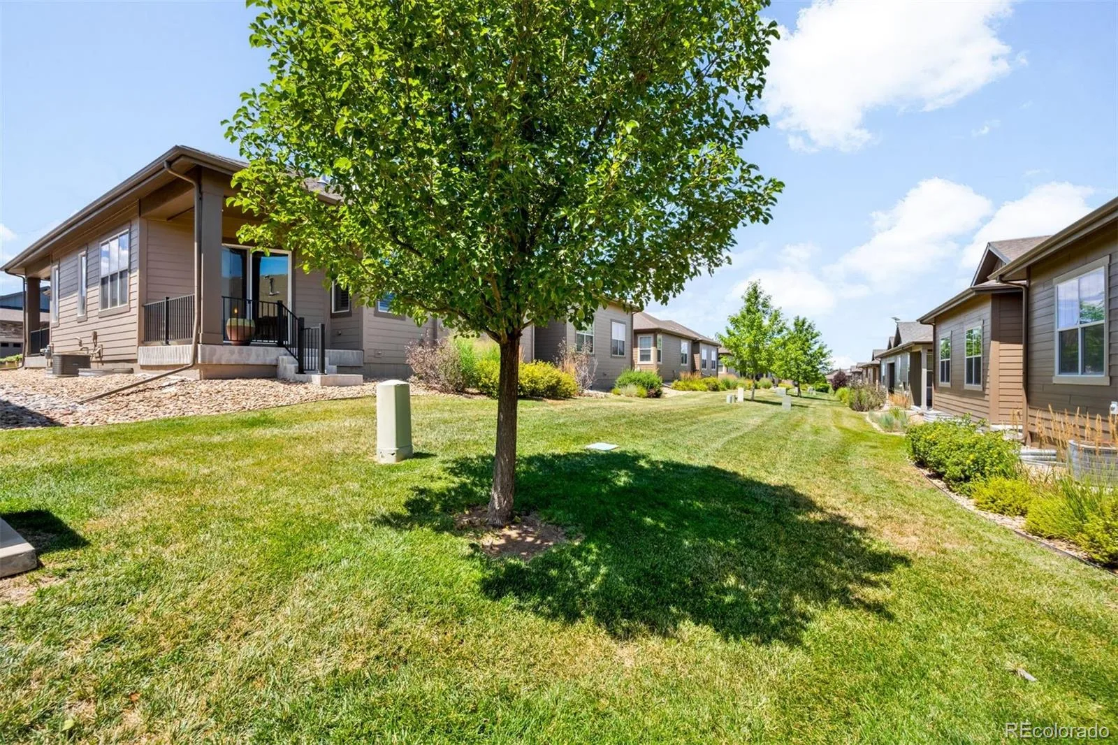 3566 New Haven Circle Castle Rock CO 80109 | MLS #REC9650194 08282026231546 1600 21