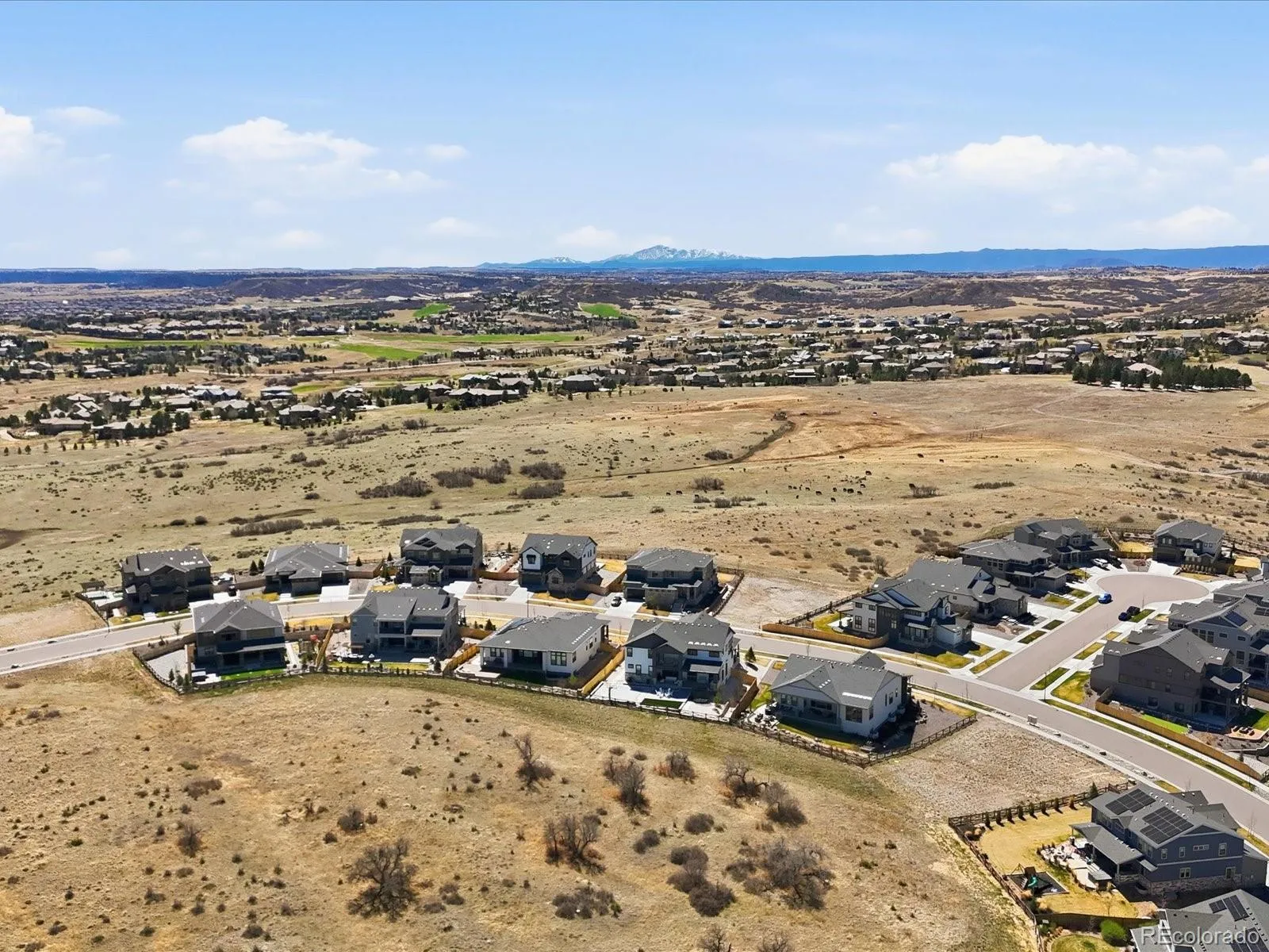 17252 Rose Mallow Avenue Parker CO 80134 MLS #REC9657462 05092026020216 1600 44