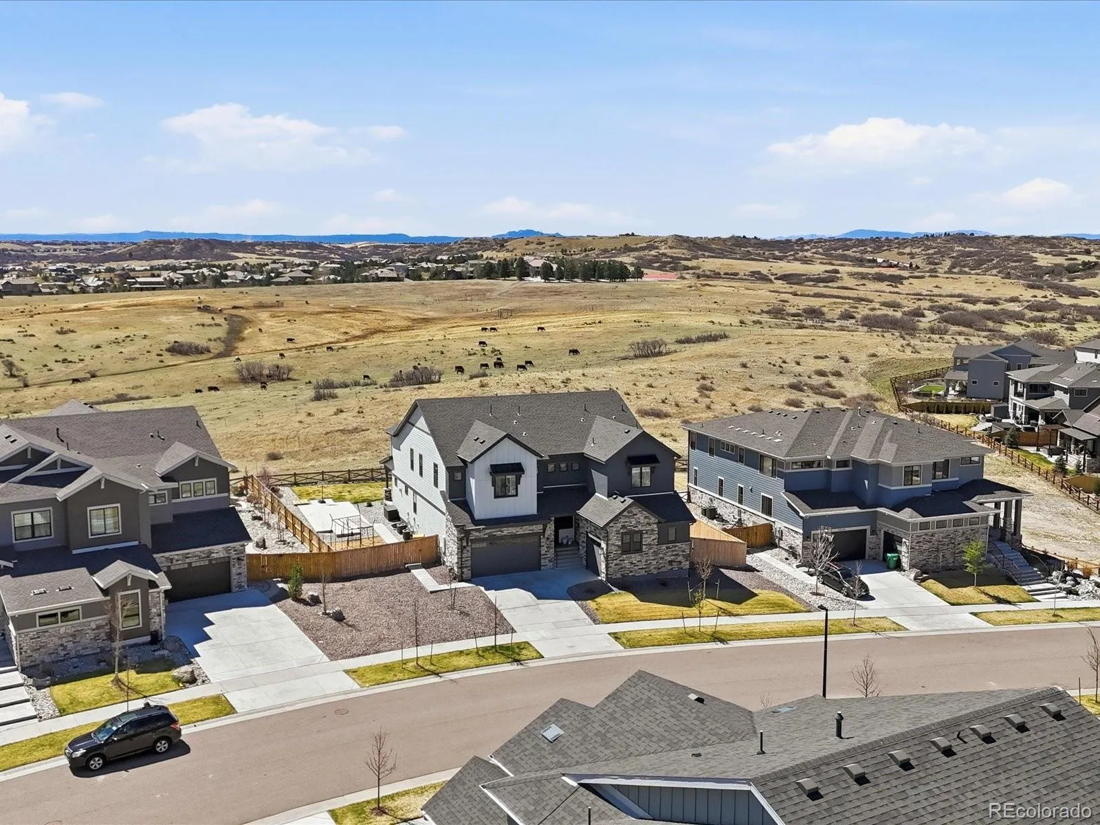 17252 Rose Mallow Avenue Parker CO 80134 MLS #REC9657462 05092026020216 1600 45