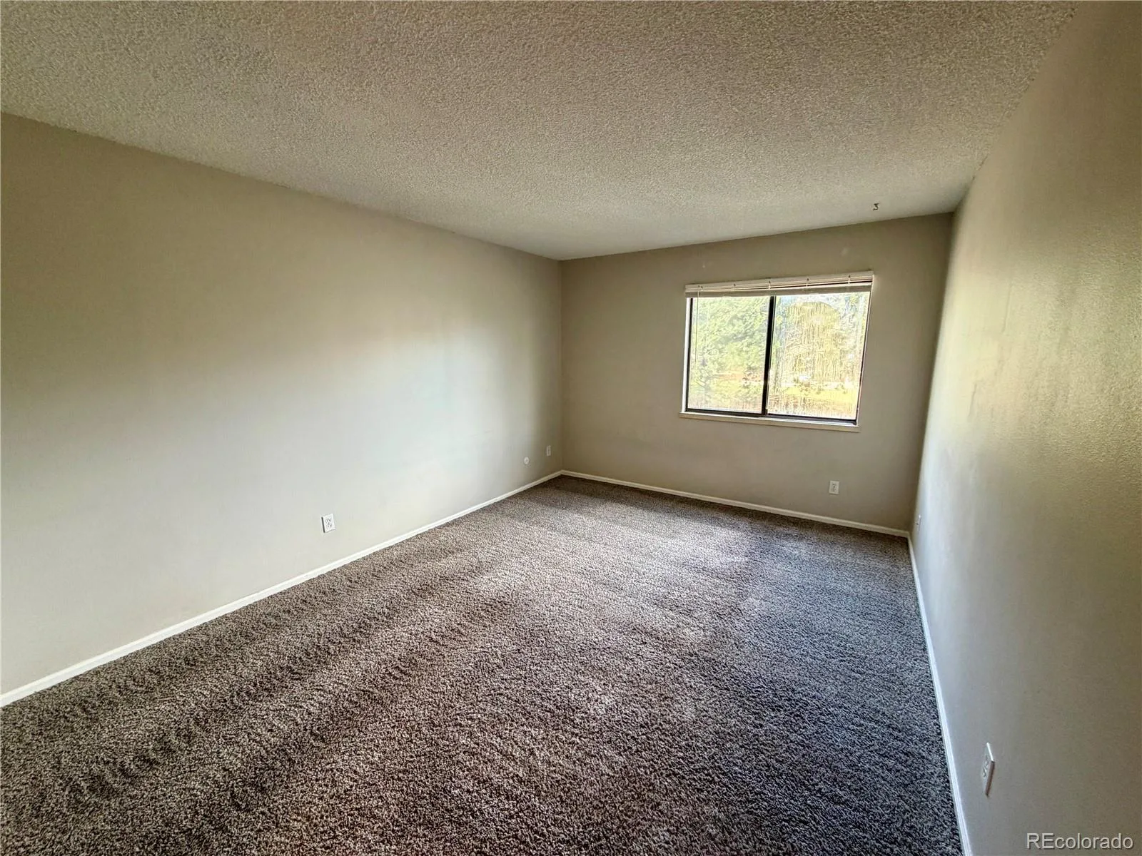 471 S Kalispell Way #206 Aurora CO 80017 | MLS #REC9664274 10022026165538 1600 6