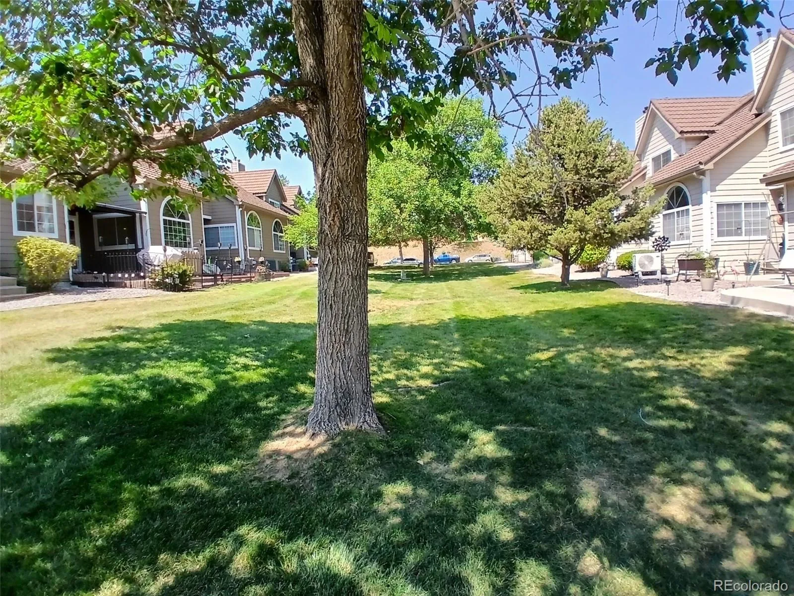 5966 S Jellison Street #B Littleton CO 80123 | MLS #REC9670631 08082026195648 1600 25