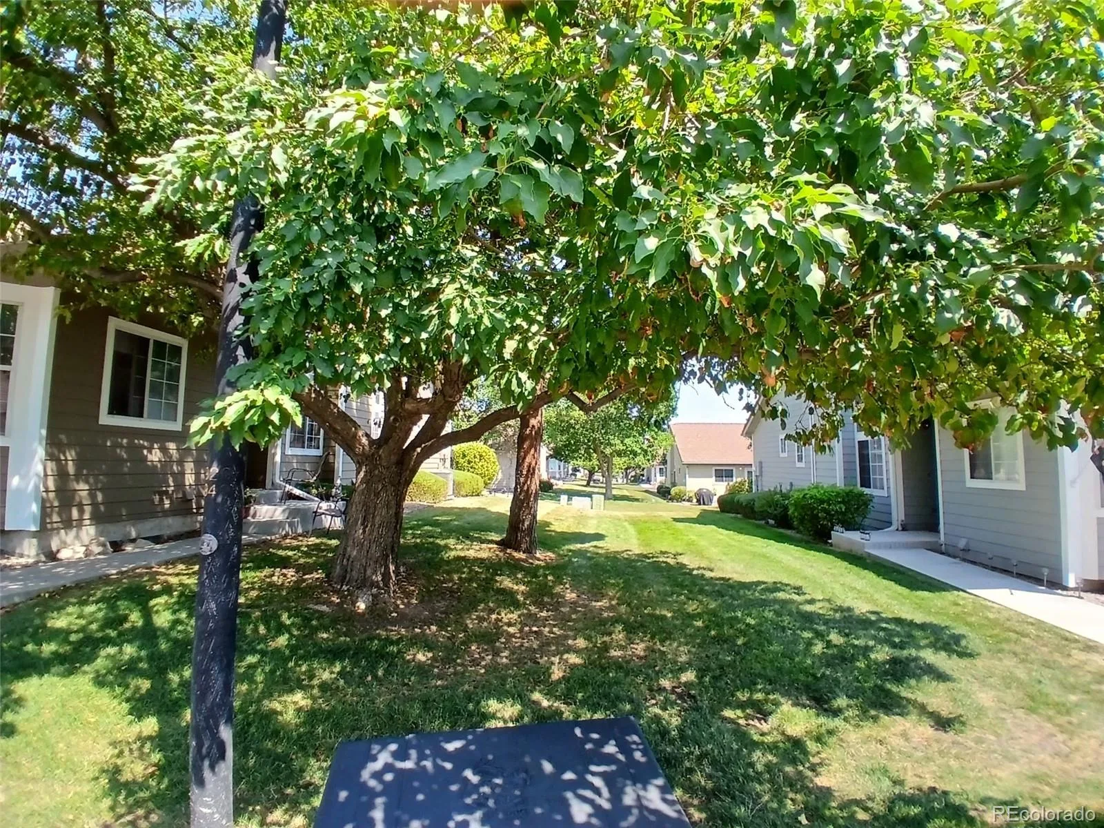 5966 S Jellison Street #B Littleton CO 80123 | MLS #REC9670631 08082026195648 1600 27
