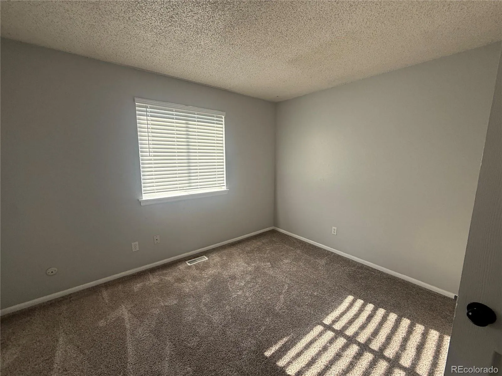 12289 Monroe Drive Thornton CO 80241 | MLS #REC9673603 08282026041151 1600 19