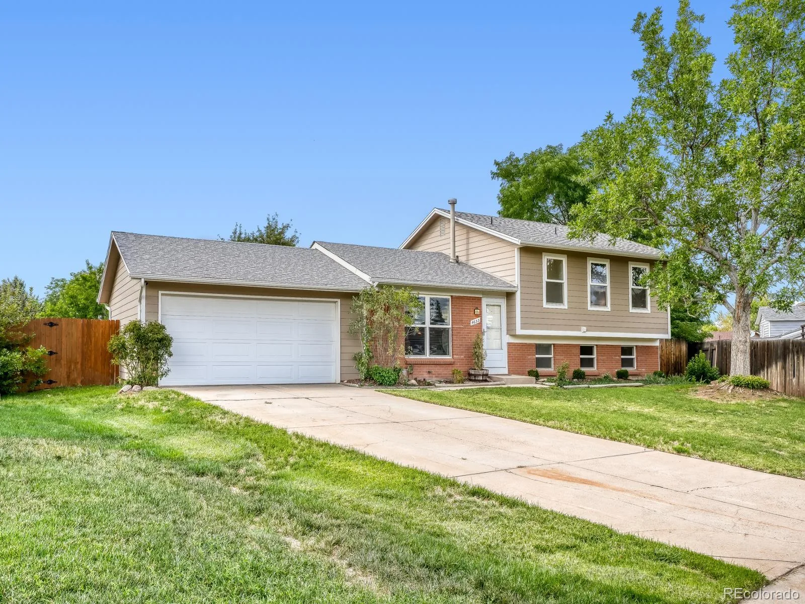 4653 S Yank Street Morrison CO 80465 | MLS #REC9674138 08282026155022 1600 1