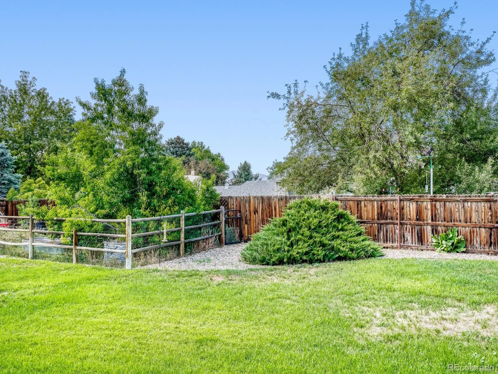 4653 S Yank Street Morrison CO 80465 | MLS #REC9674138 08282026155022 1600 28