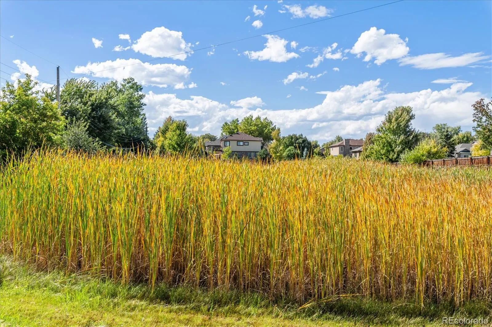 04092026163352 1600 24