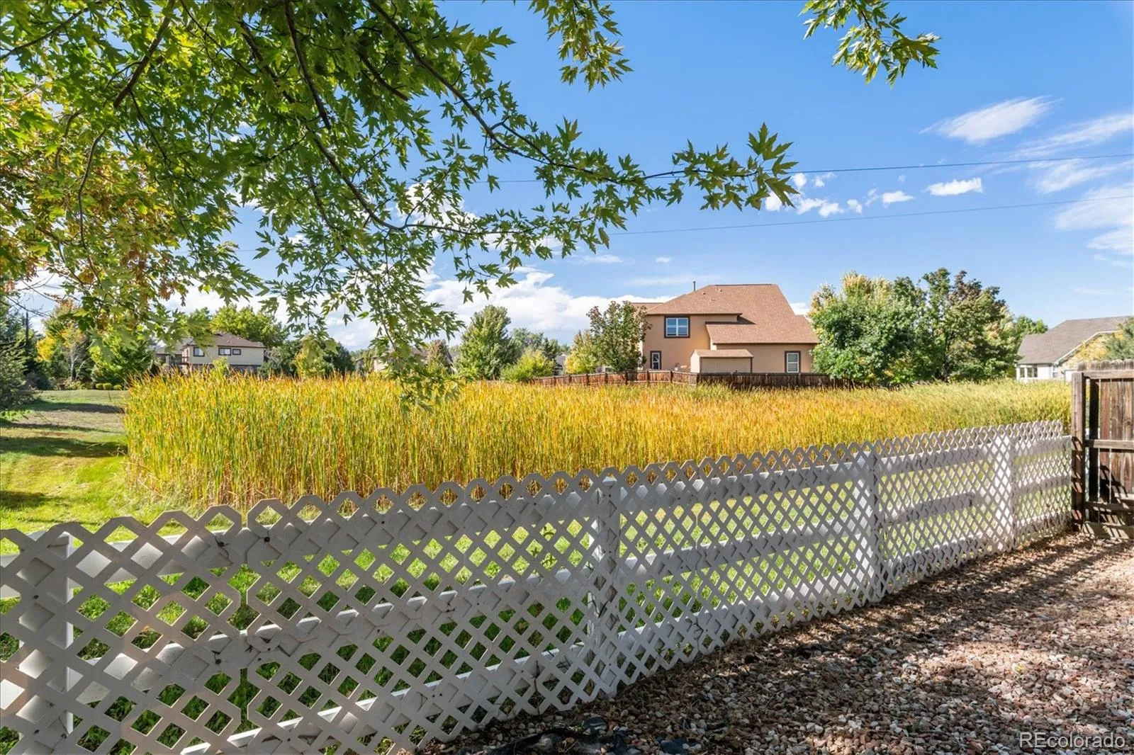 04092026163352 1600 25