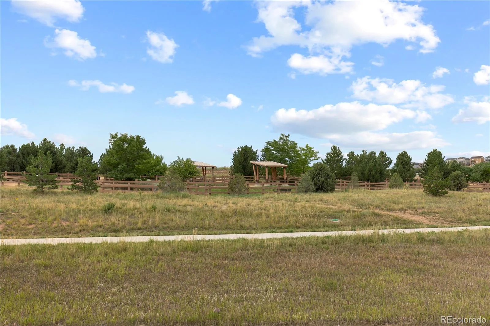 3794 Ghost Dance Drive Castle Rock CO 80108 | MLS #REC9690088 08292026220759 1600 21