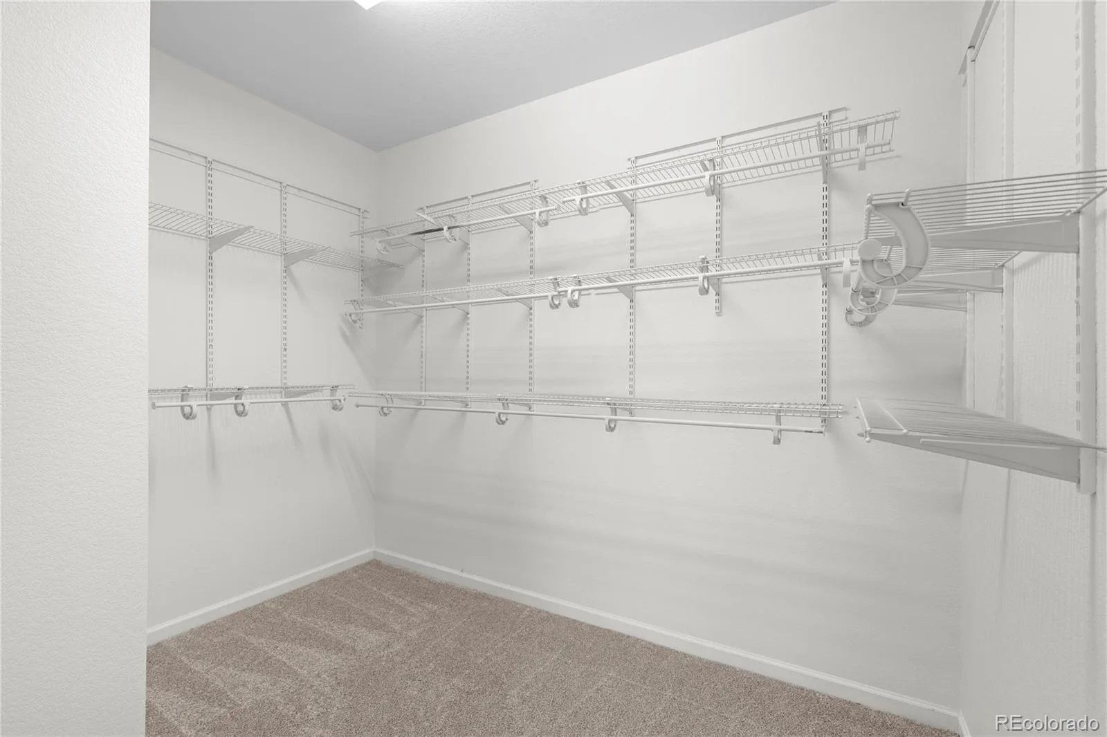 3794 Ghost Dance Drive Castle Rock CO 80108 | MLS #REC9690088 08292026220759 1600 25