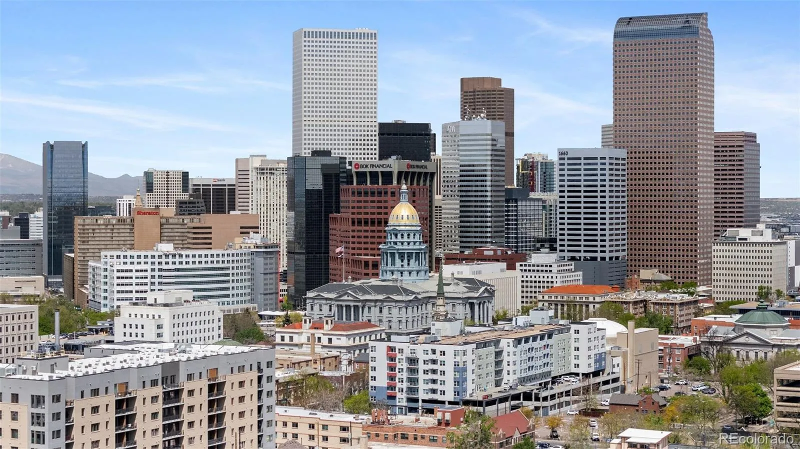 1100 N Logan Street #1 Denver CO 80203 MLS #REC9692385 04242026165238 1600 22