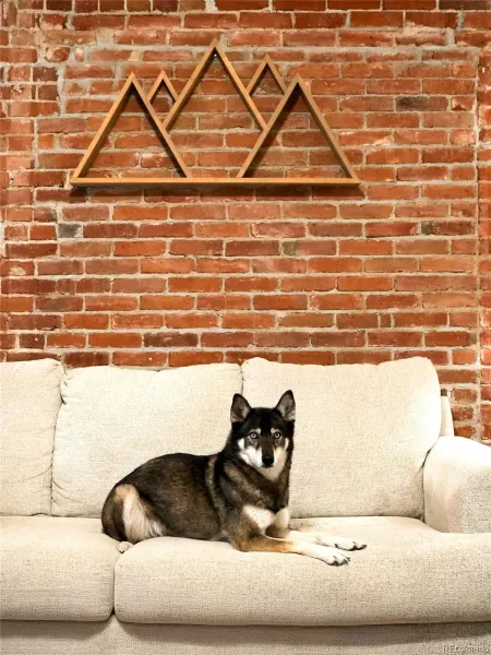 03202026180646 800 2