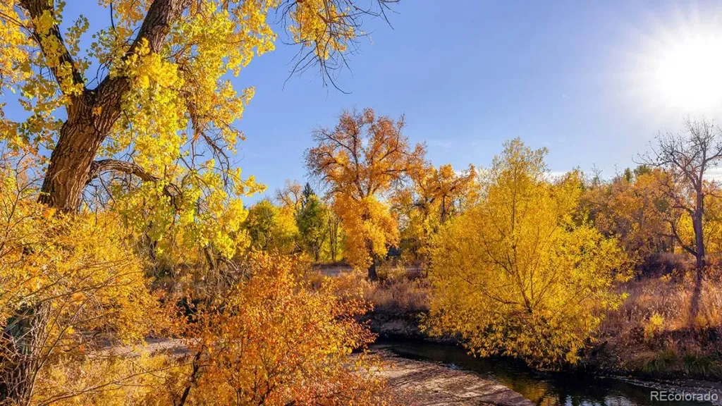 03272026002923 1024 13