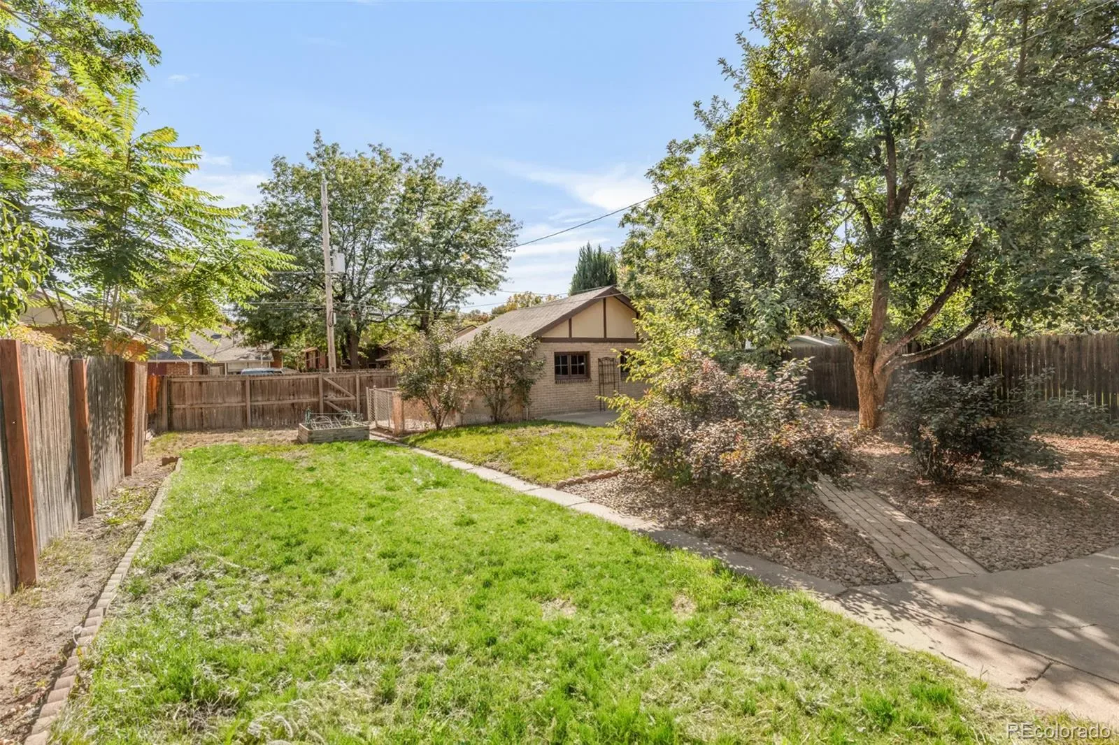 03232026234900 1600 37