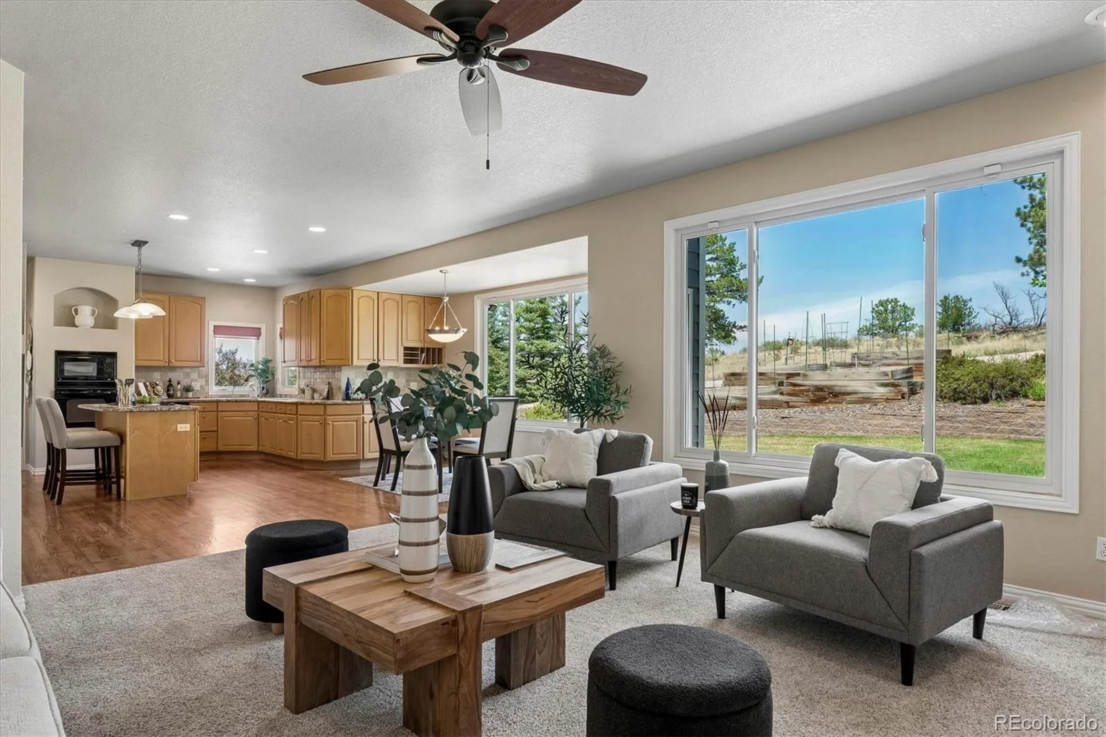 6987 Ashley Court Parker CO 80134 | MLS #REC9725789 08012026220512 1600 13