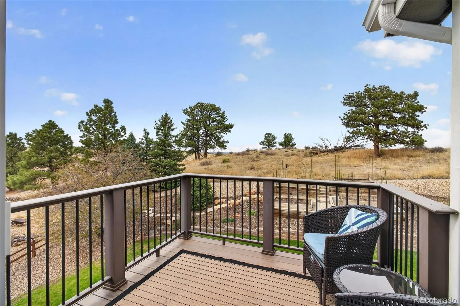 6987 Ashley Court Parker CO 80134 | MLS #REC9725789 08012026220512 1600 19