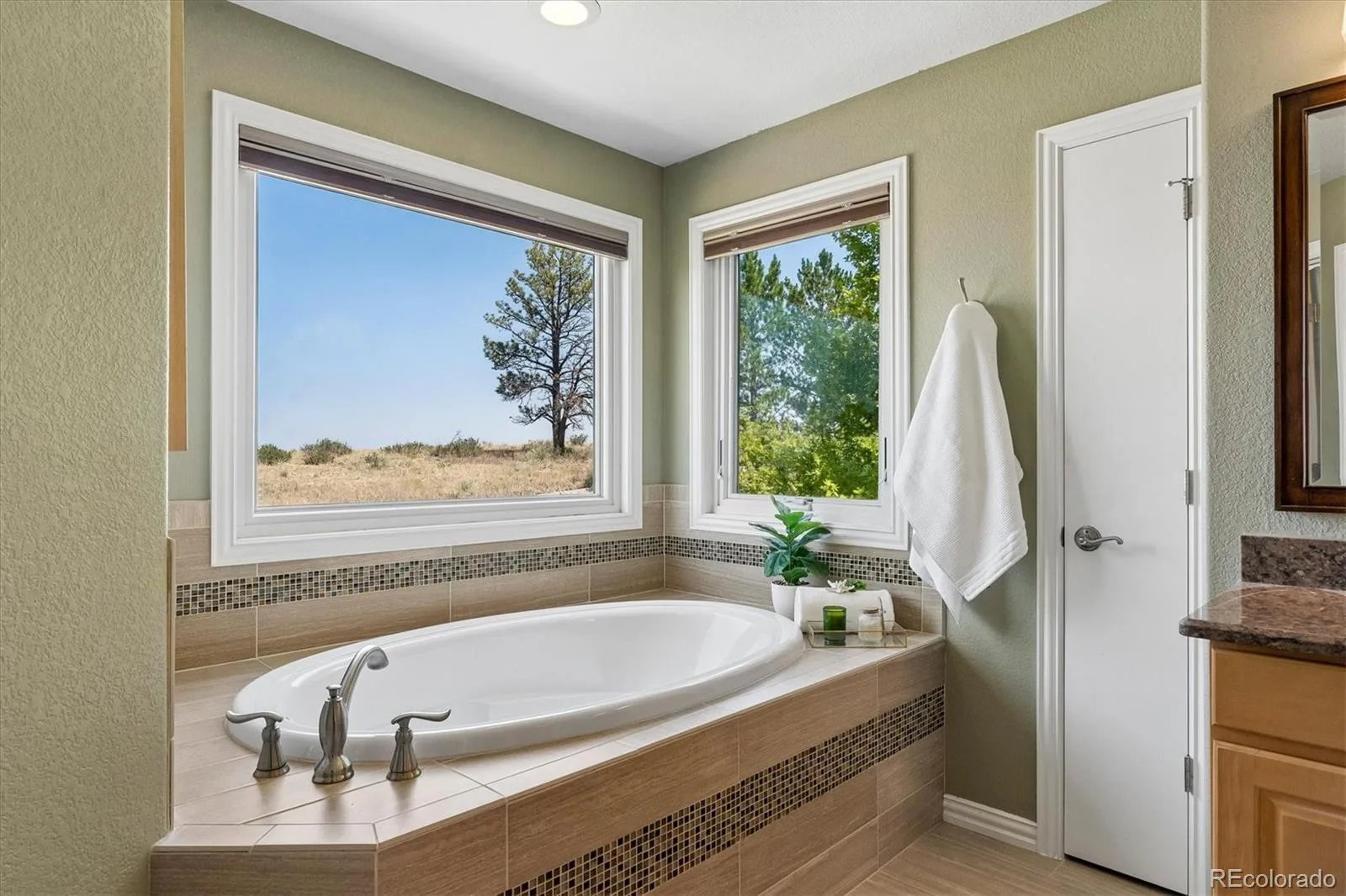 6987 Ashley Court Parker CO 80134 | MLS #REC9725789 08012026220512 1600 20