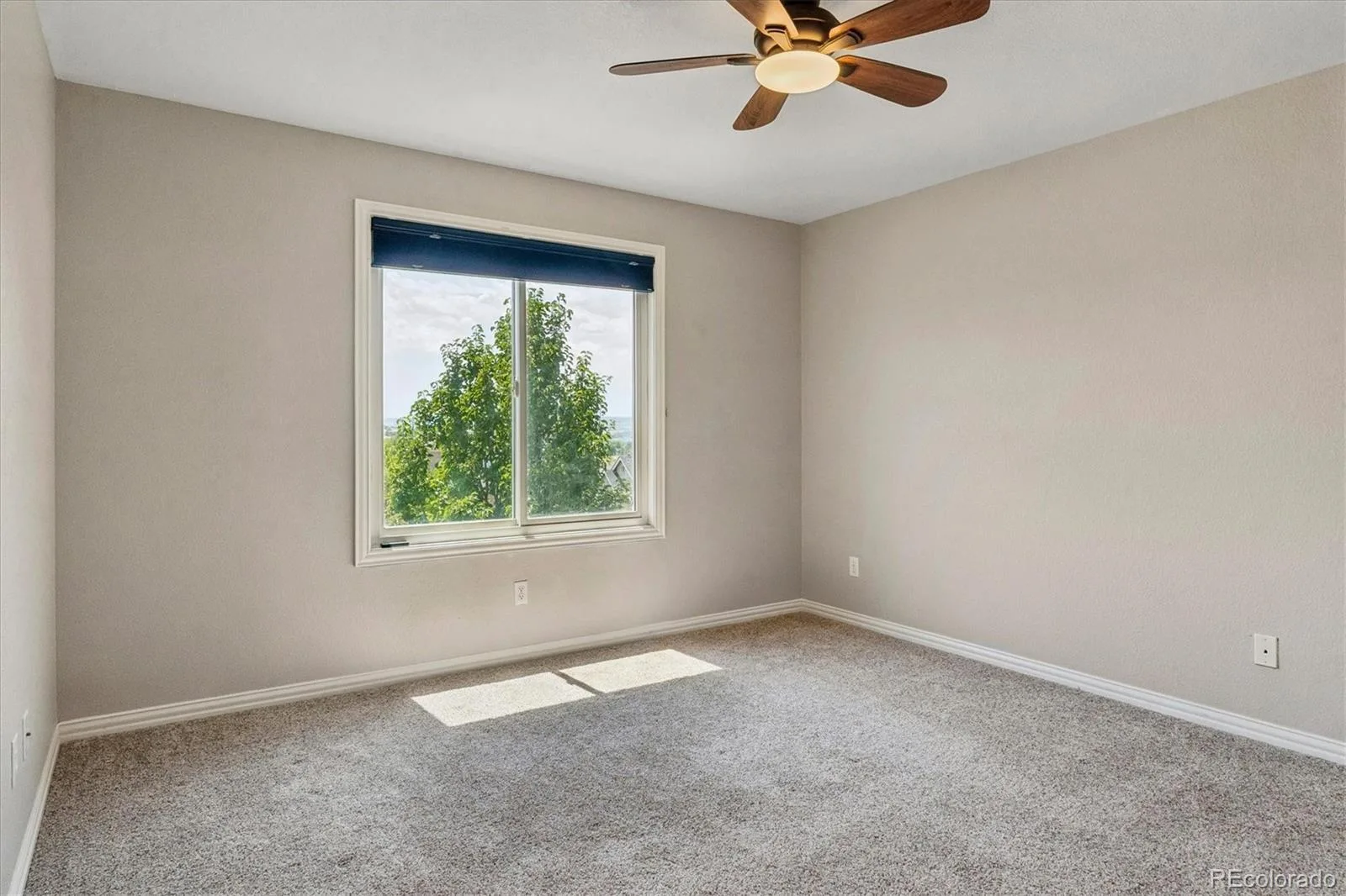 6987 Ashley Court Parker CO 80134 | MLS #REC9725789 08012026220512 1600 25