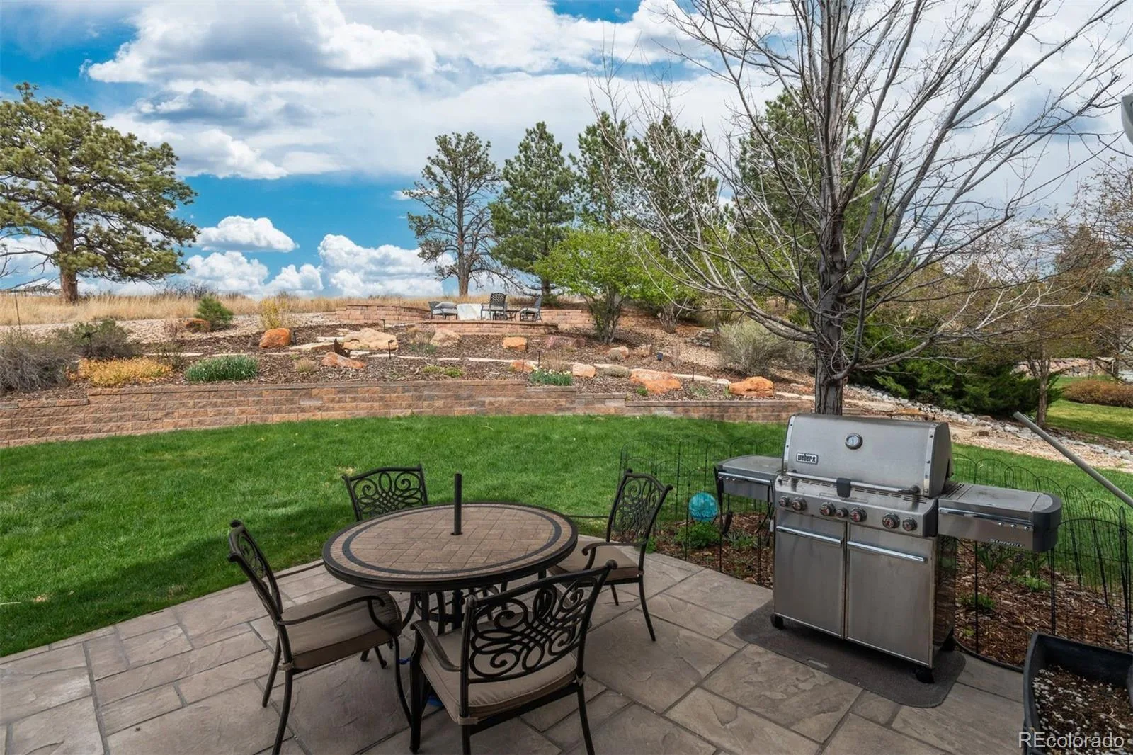6987 Ashley Court Parker CO 80134 | MLS #REC9725789 08012026220512 1600 37