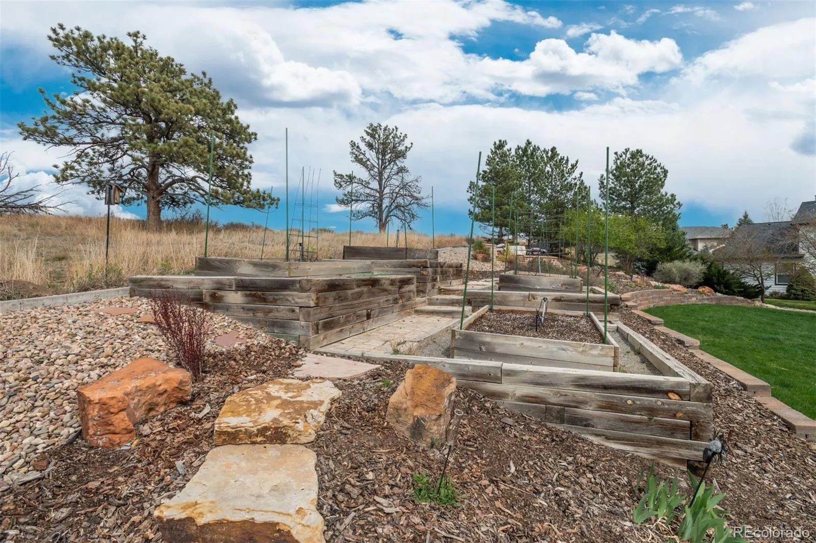 6987 Ashley Court Parker CO 80134 | MLS #REC9725789 08012026220512 1600 40