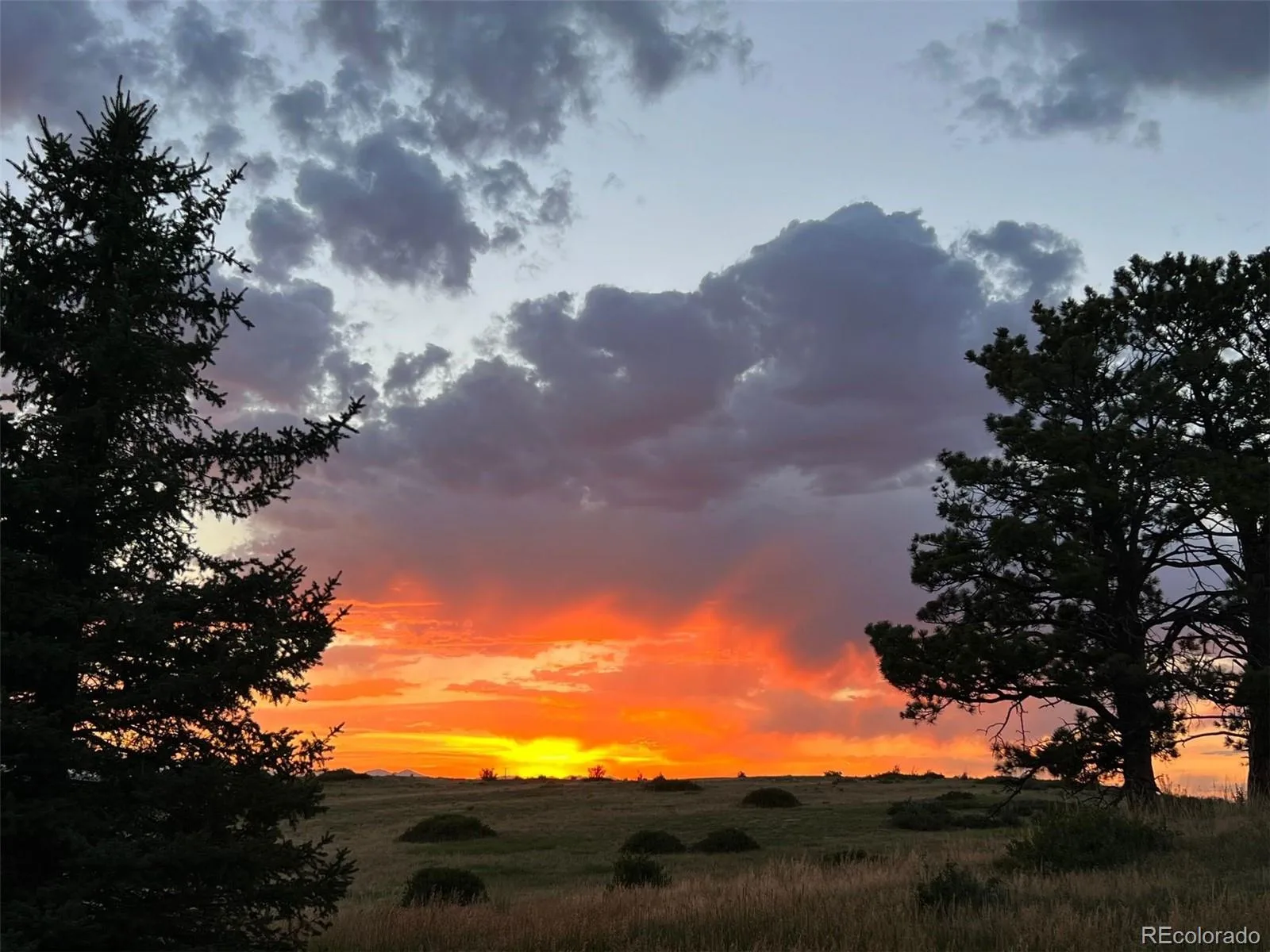6987 Ashley Court Parker CO 80134 | MLS #REC9725789 08012026220512 1600 46