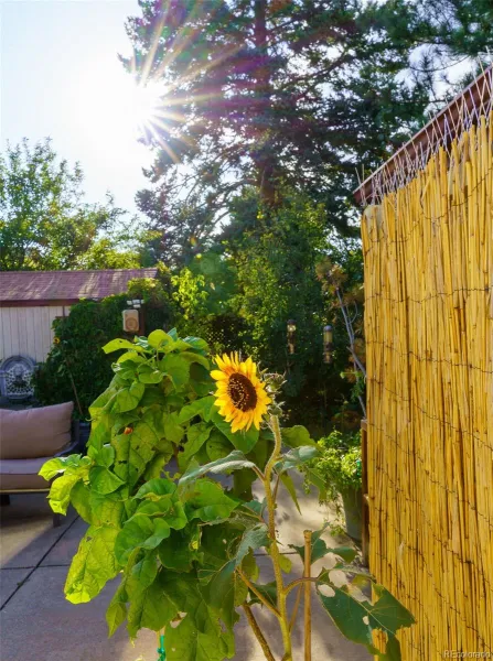 450 S Quitman Street Denver CO 80219 MLS #REC9729788 05142026075647 800 25