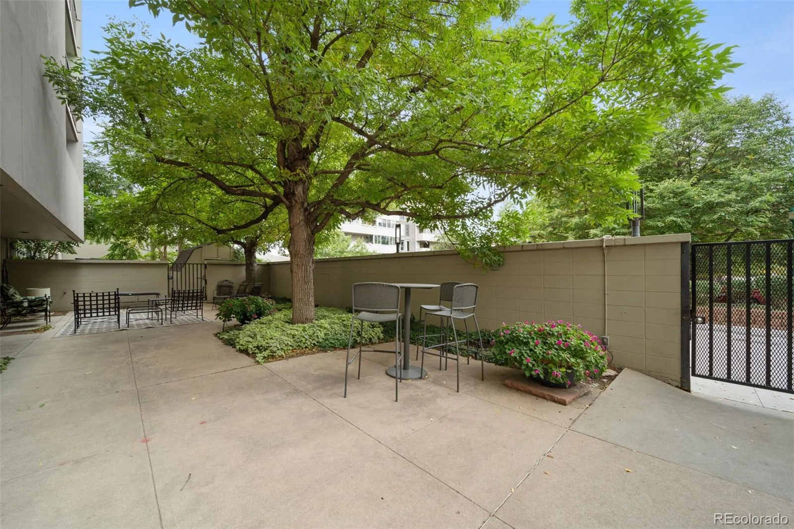 777 Washington Street #806 Denver CO 80203 | MLS #REC9729906 08172026215621 1600 31