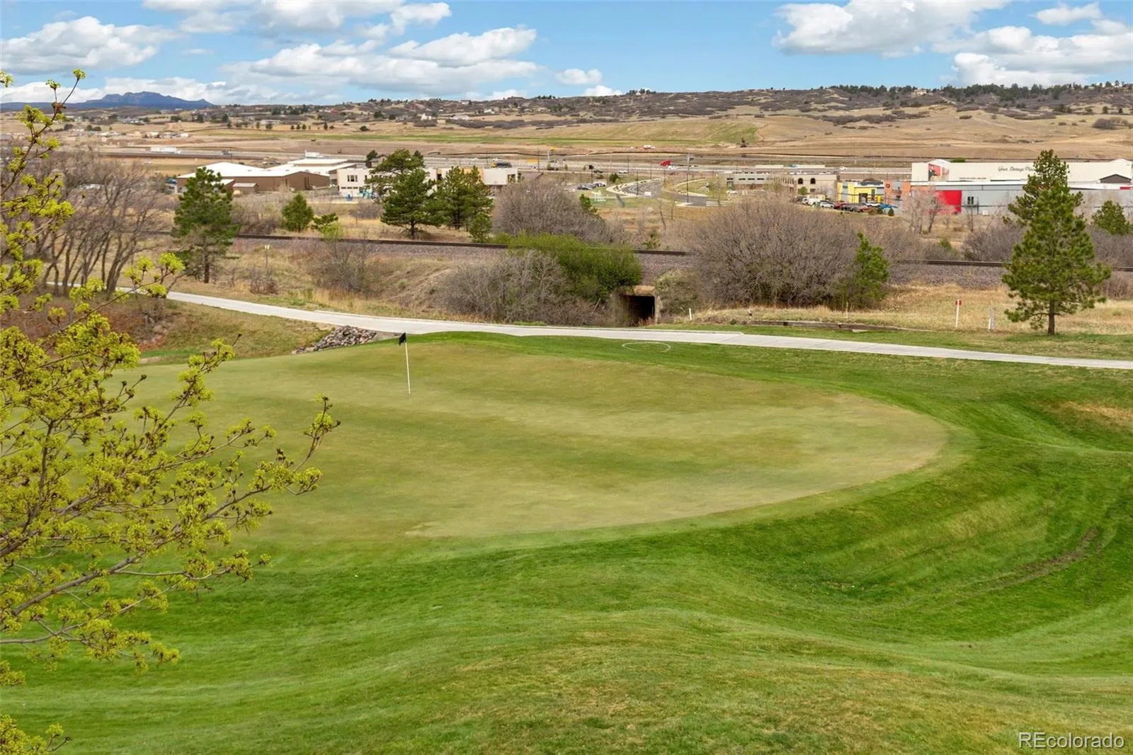 2495 Mount Royal Drive Castle Rock CO 80104 | MLS #REC9730028 07232026231746 1600 10