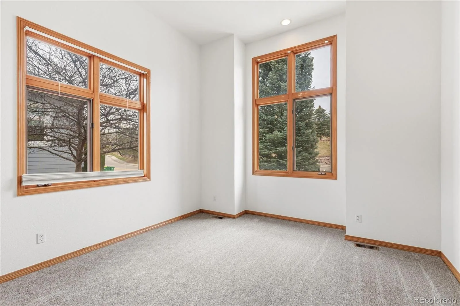 2495 Mount Royal Drive Castle Rock CO 80104 | MLS #REC9730028 07232026231746 1600 24