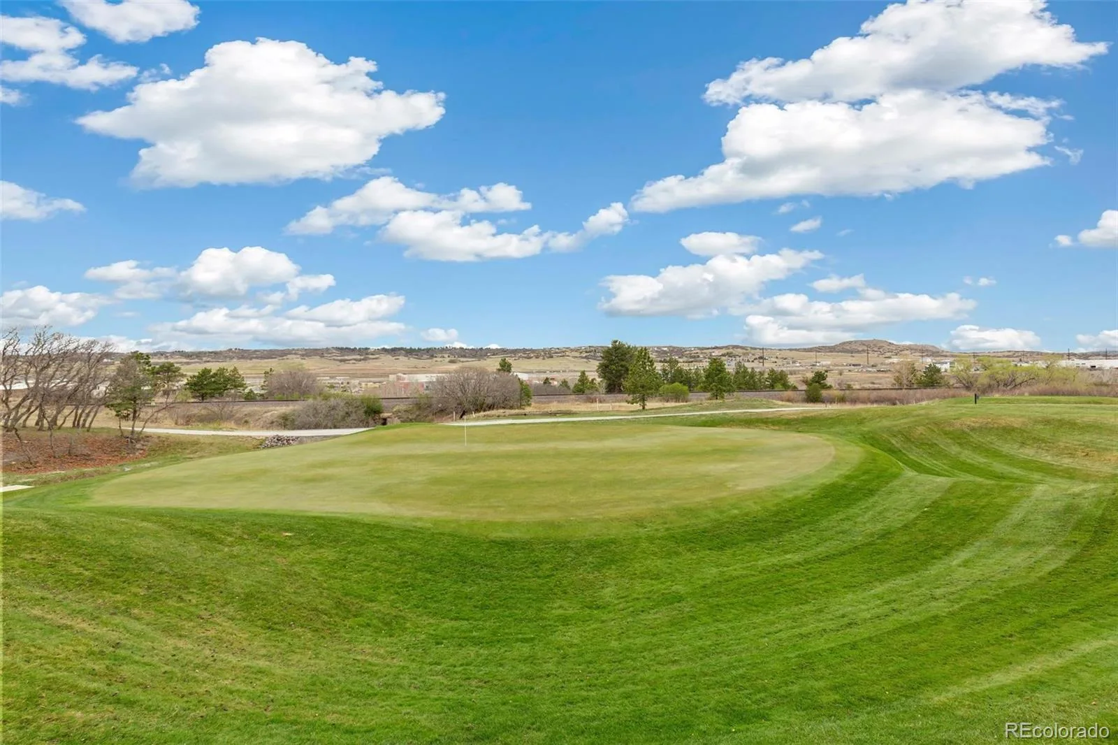 2495 Mount Royal Drive Castle Rock CO 80104 | MLS #REC9730028 07232026231746 1600 31
