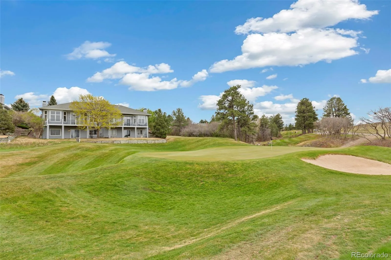 2495 Mount Royal Drive Castle Rock CO 80104 | MLS #REC9730028 07232026231746 1600 32